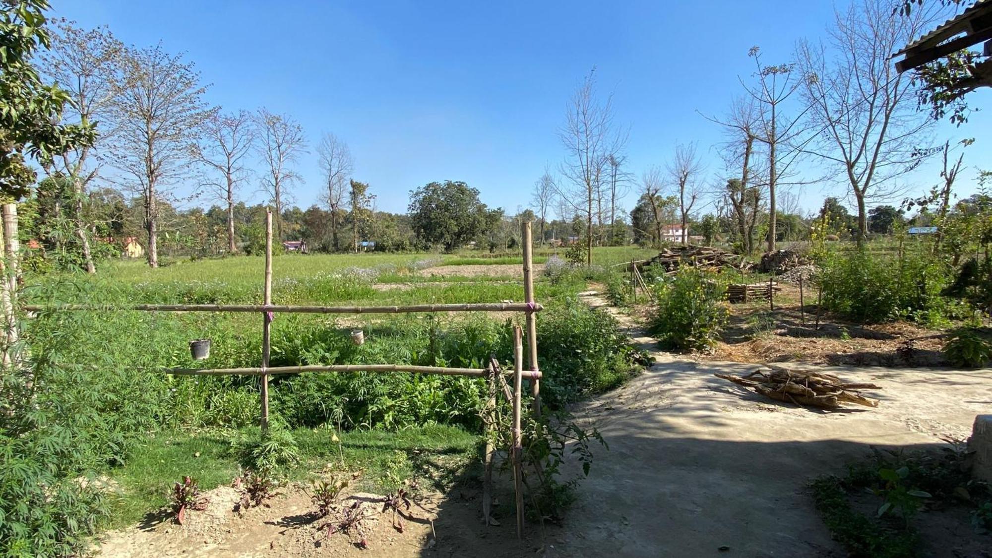 Nanu'S Bardiya Homestay Экстерьер фото